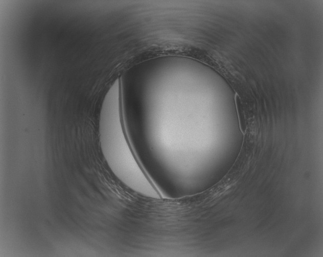 X0000074230916200608250812