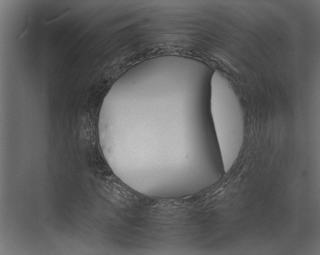 X0000074230917200608250812
