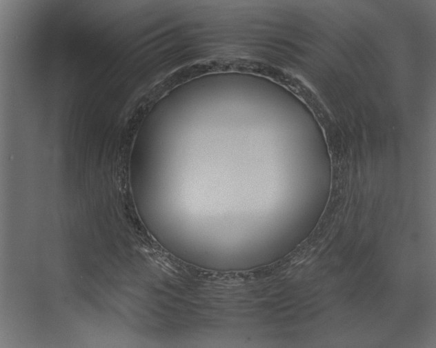 X0000074230919200608250812