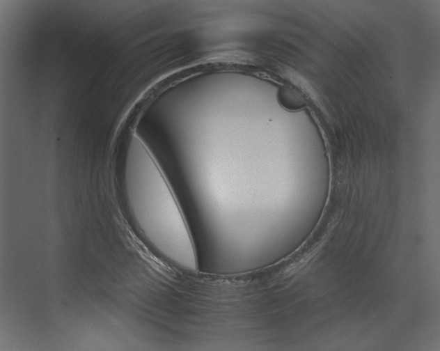 X0000074230923200608250812