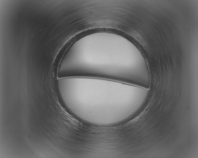 X0000074230926200608250812