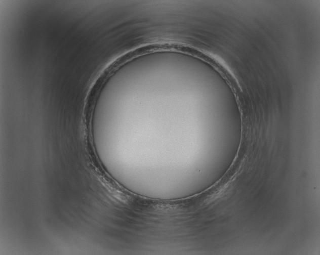 X0000074230927200608250812