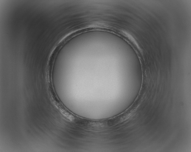 X0000074230931200608250812