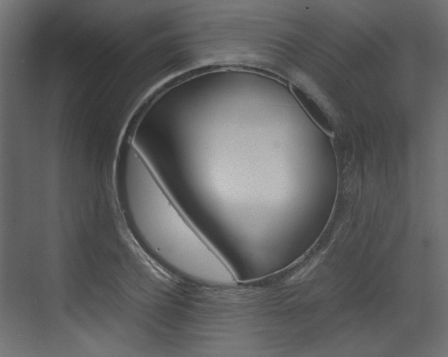 X0000074230932200608250812