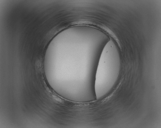 X0000074230937200608250812