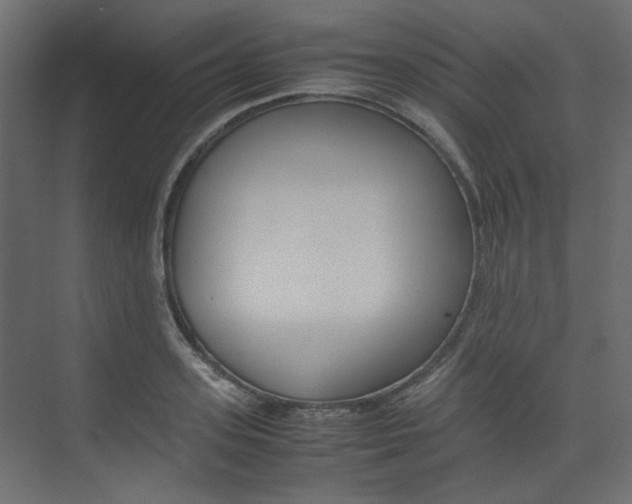 X0000074230939200608250813