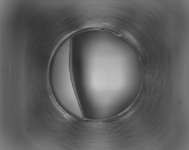 X0000074230940200608250813