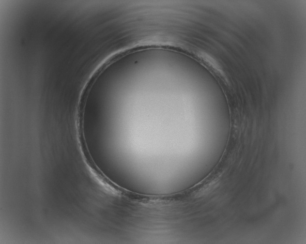 X0000074230942200608250813