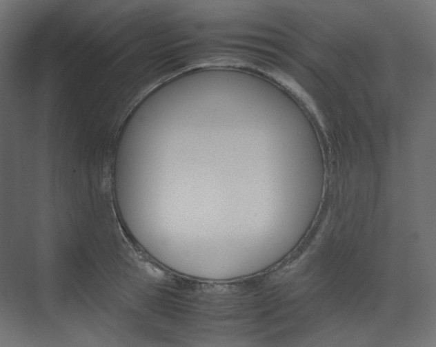 X0000074230945200608250813