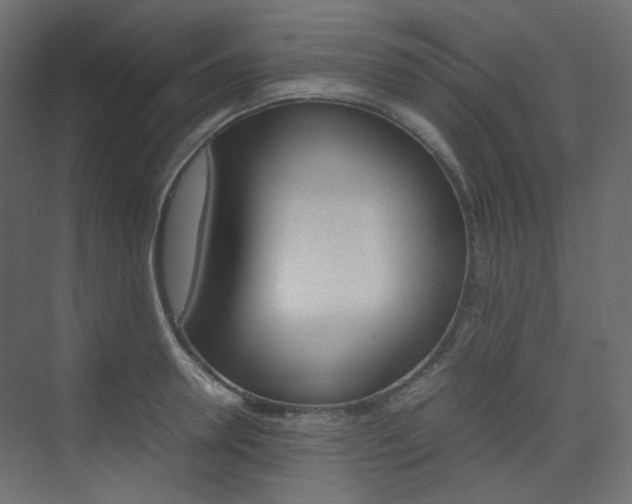 X0000074230946200608250813