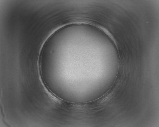 X0000074230951200608250813