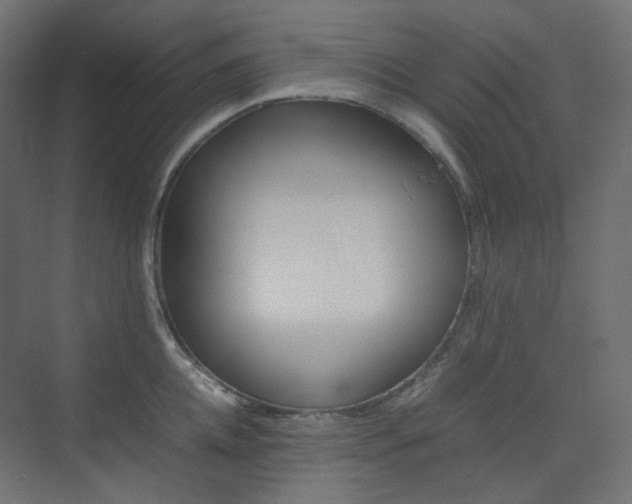 X0000074230952200608250813