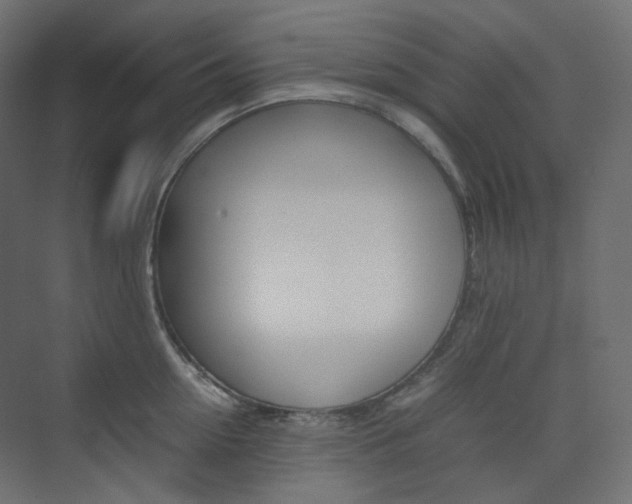 X0000074230954200608250813
