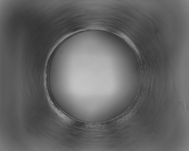 X0000074230955200608250813