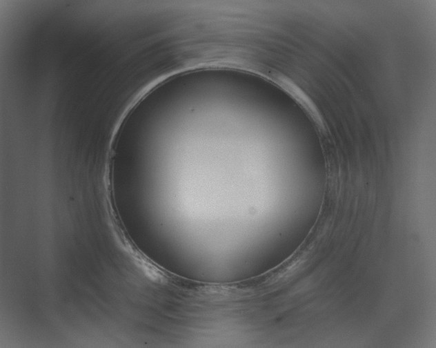 X0000074230956200608250813
