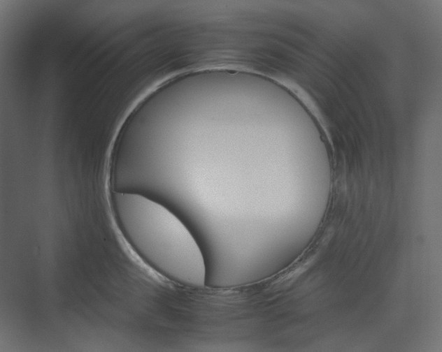X0000074230957200608250813