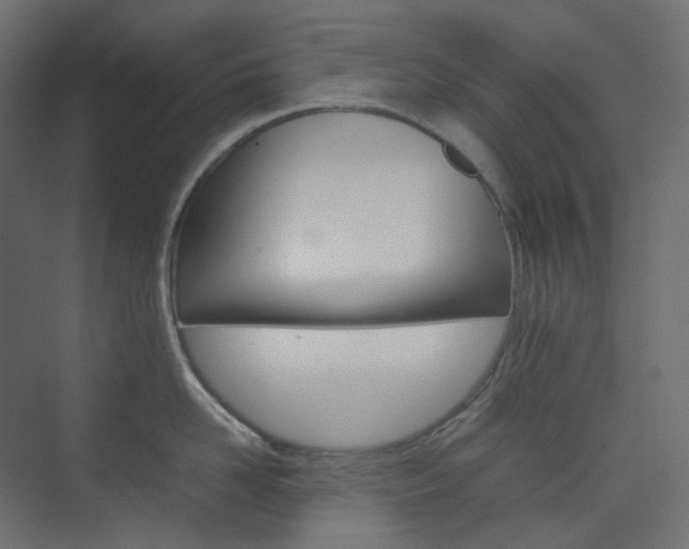 X0000074230958200608250813