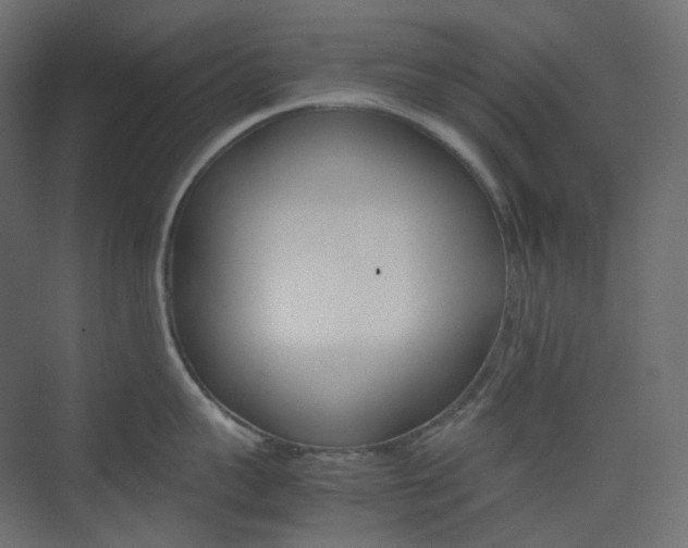 X0000074230959200608250813