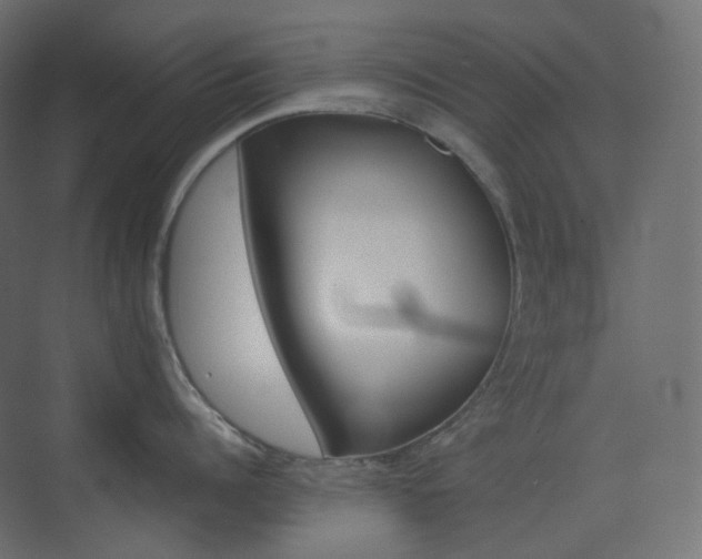 X0000074230960200608250813
