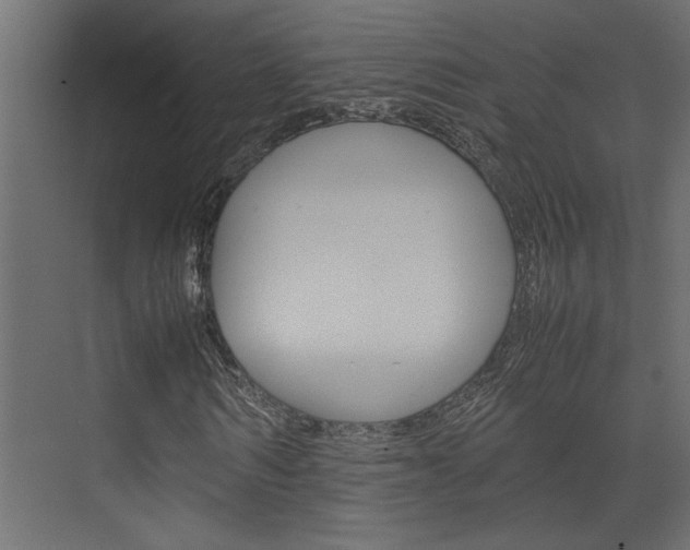 X0000074230962200608250812