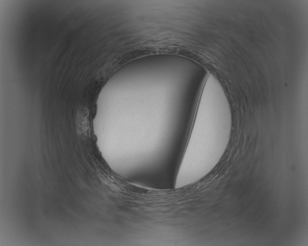 X0000074230963200608250812