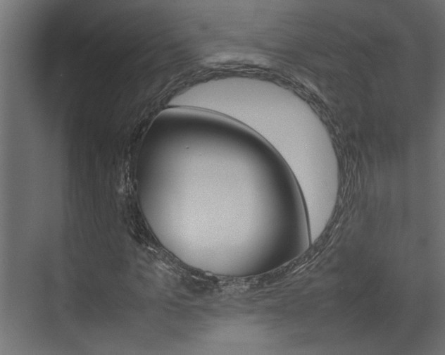 X0000074230965200608250812
