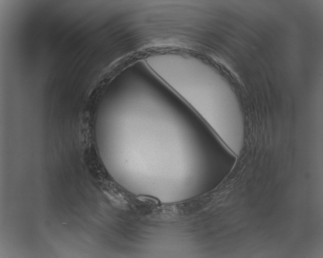 X0000074230968200608250812