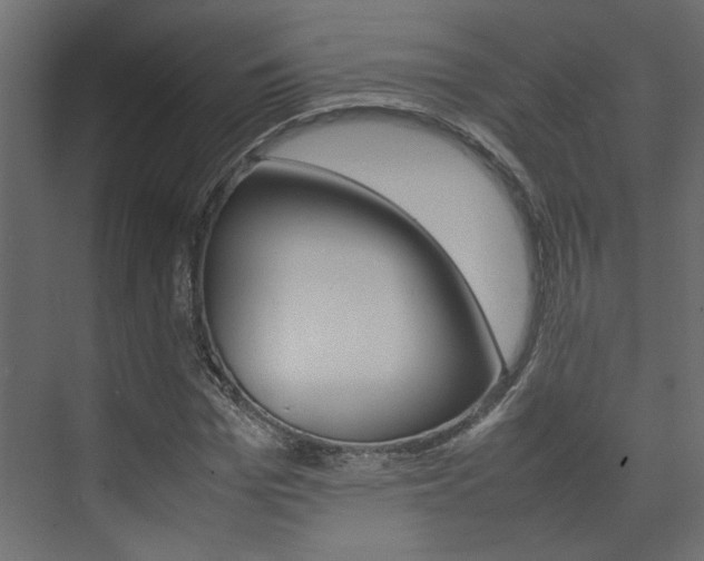X0000074230969200608250812