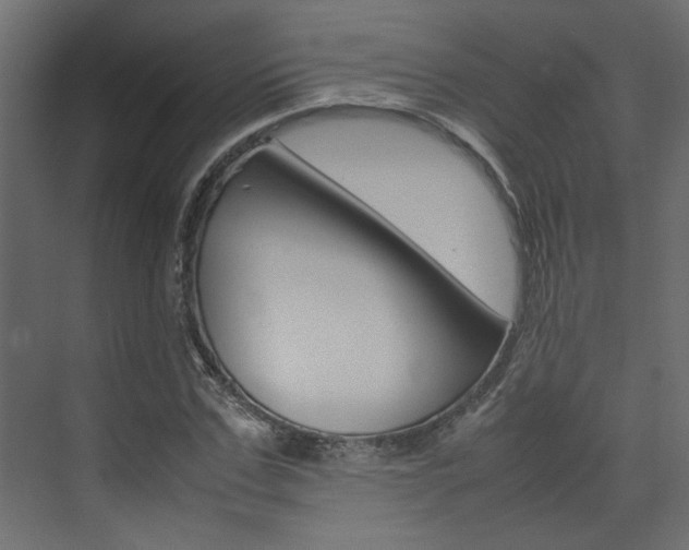 X0000074230971200608250812