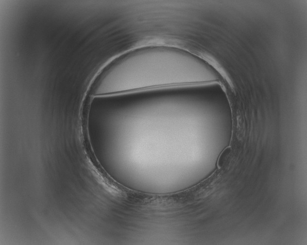 X0000074230972200608250812