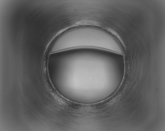 X0000074230973200608250812