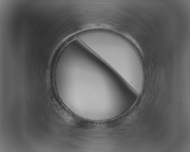 X0000074230975200608250812