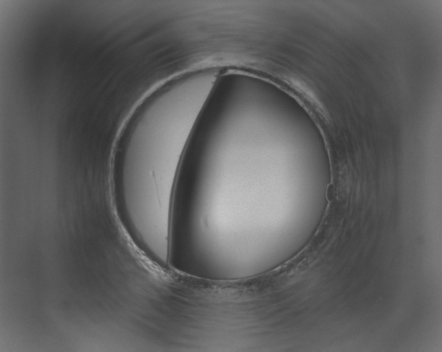 X0000074230976200608250812