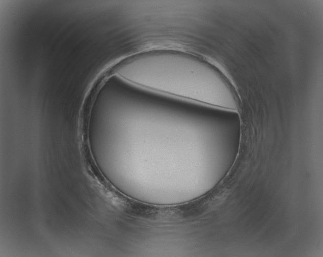 X0000074230979200608250812