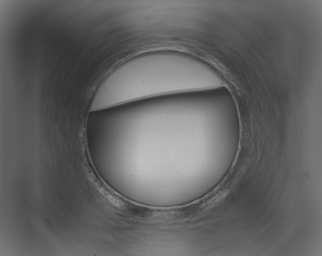 X0000074230985200608250812