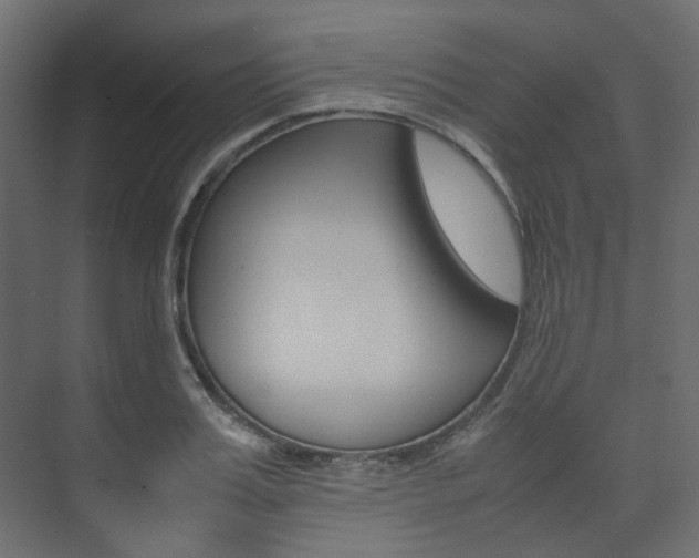 X0000074230987200608250812