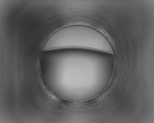 X0000074230993200608250812