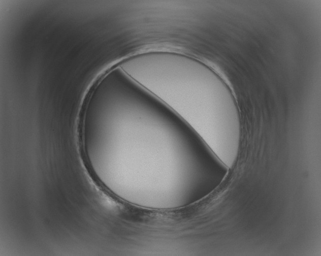 X0000074230995200608250812
