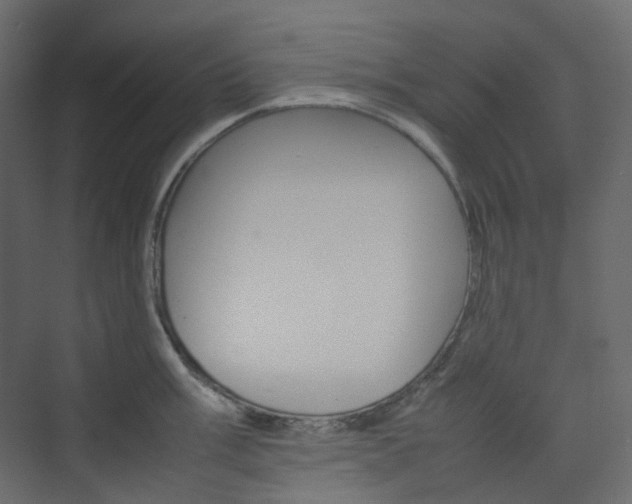 X0000074231003200608250811