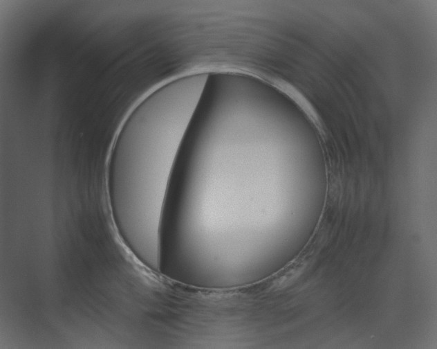 X0000074231004200608250811