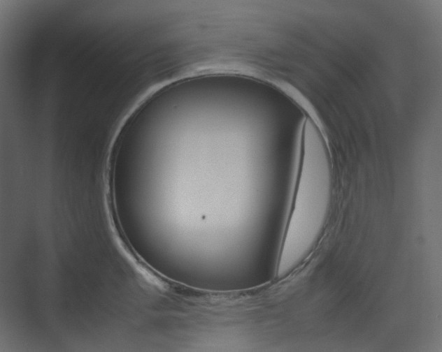 X0000074231005200608250811