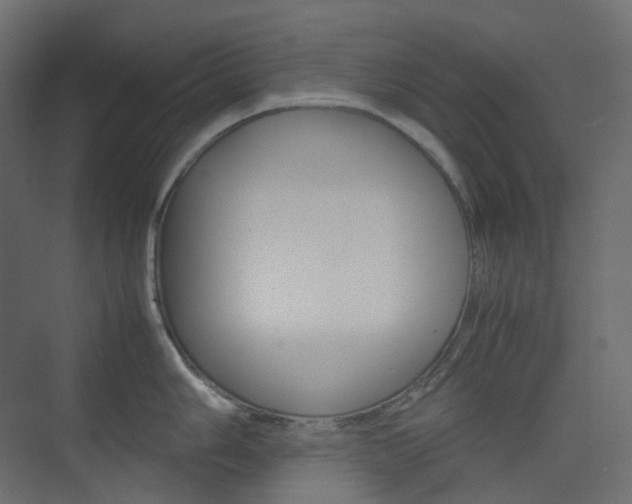 X0000074231006200608250811