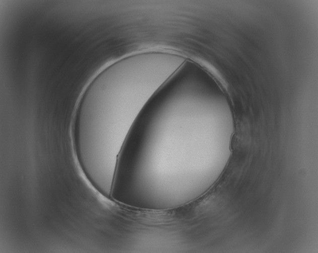 X0000074231007200608250811