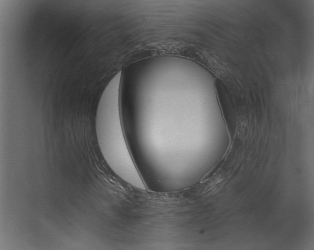 X0000074231010200608250810