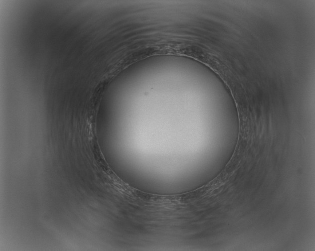 X0000074231013200608250811