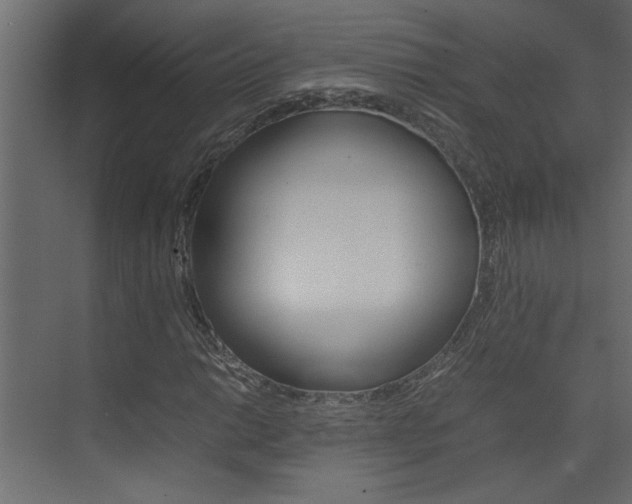 X0000074231014200608250811