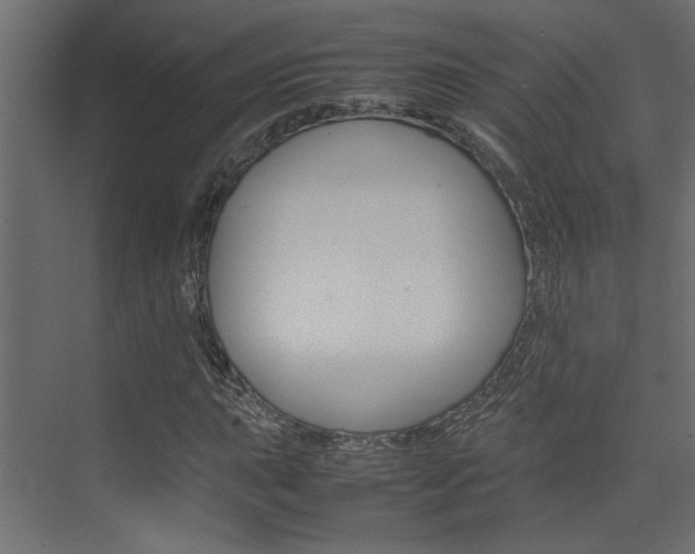 X0000074231015200608250811
