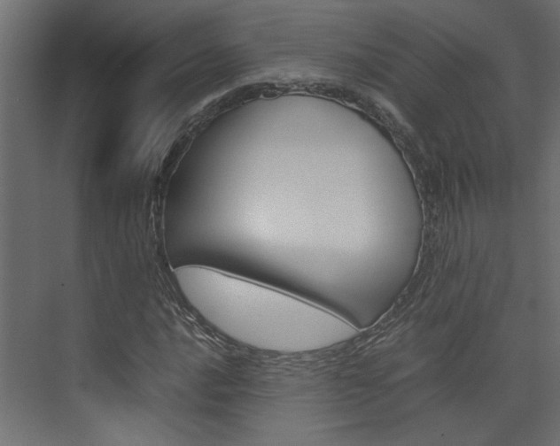 X0000074231016200608250811