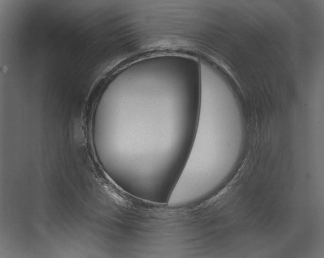 X0000074231018200608250811