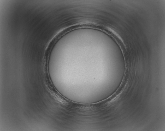 X0000074231021200608250811